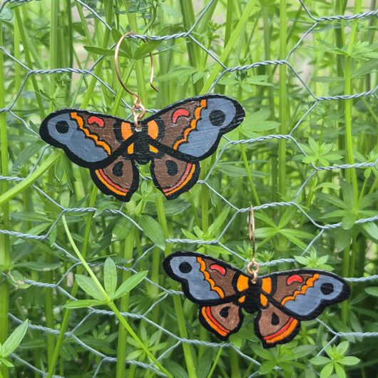 Painted Moths