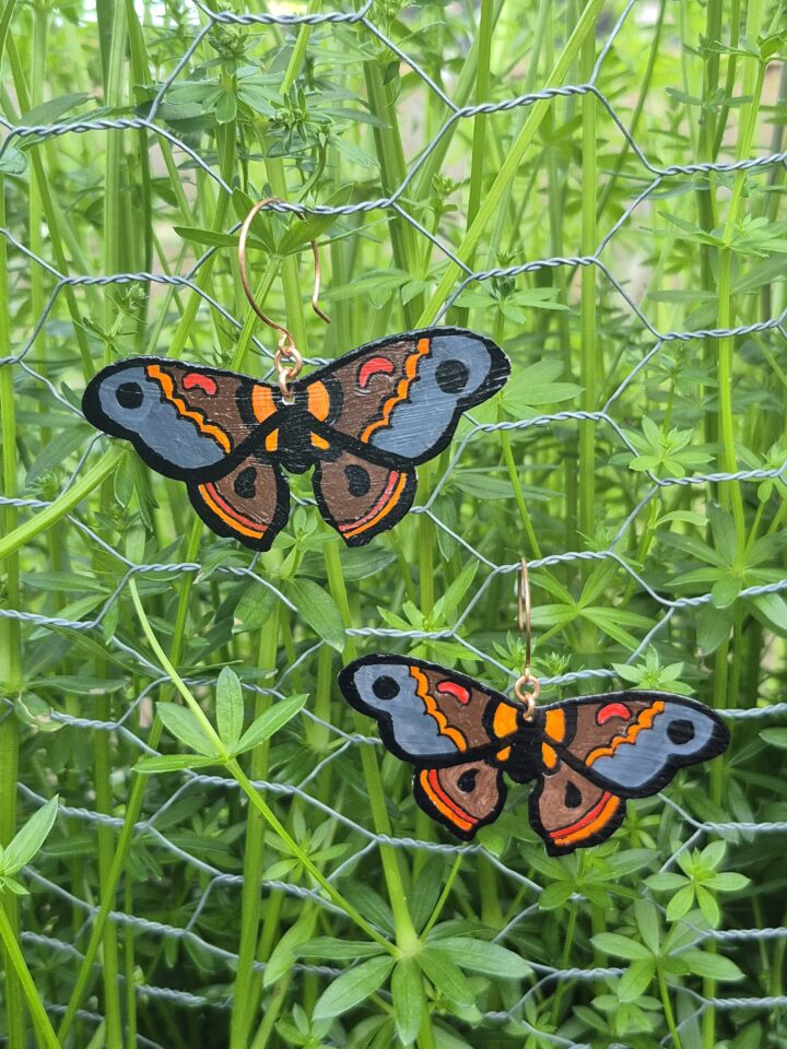 Painted Moths